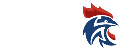 LOGO de la LIGUE de BRETAGNE de Handball